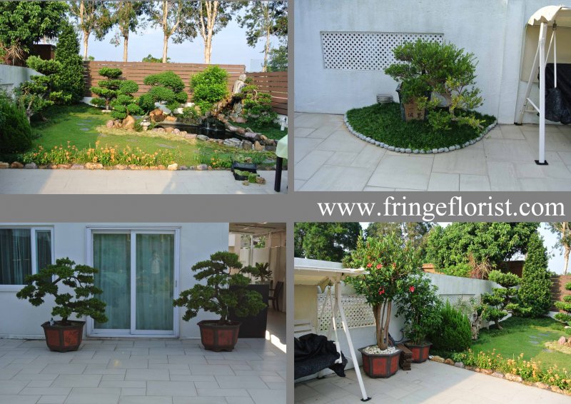 garden-2